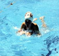 Mount Gambier Aquatic Centre - Tourism Caloundra