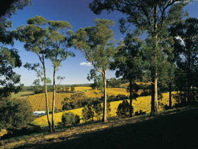 Lobethal SA Tourism Caloundra