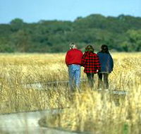 Onkaparinga River Recreation Park - Tourism Caloundra