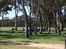 Stewart Range SA Tourism Caloundra