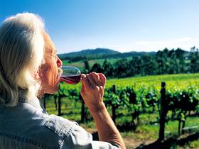 Ashton SA Tourism Caloundra