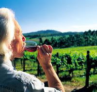 Ashton Hills Vineyard - Tourism Caloundra