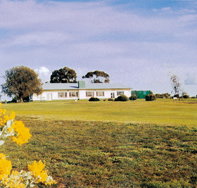 Lucindale Country Club - Tourism Caloundra