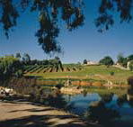 Mount Hurtle Winery home of Geoff Merrill Wines - Tourism Caloundra