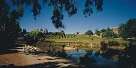 Mount Hurtle Winery Home Of Geoff Merrill Wines - Tourism Caloundra 0