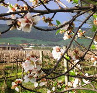 Cradle of Hills McLaren Vale Winery - Tourism Caloundra
