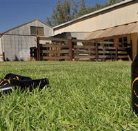 Wilkadene Woolshed Brewery - Tourism Caloundra