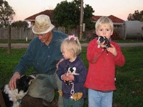 Orrie Cowie Merino And Poll Merino Stud - Tourism Caloundra 0