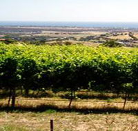 Braydun Hill Vineyard - Tourism Caloundra