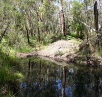 Para Wirra Recreation Park - Tourism Caloundra