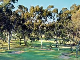 Tanunda Pines Golf Club - Tourism Caloundra 0