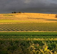 Kellermeister Wines - Tourism Caloundra