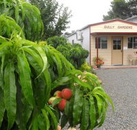 Gully Gardens - Tourism Caloundra