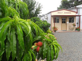Gully Gardens - Tourism Caloundra 0