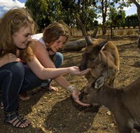Kangaroo Island Wildlife Park - Tourism Caloundra