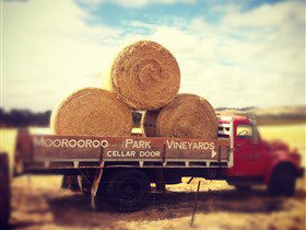 Moorooroo Park Vineyards - Tourism Caloundra 0