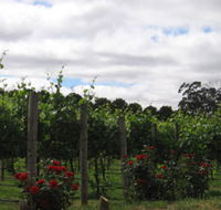 Manyara Vineyard - Tourism Caloundra