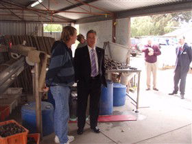 Southern Yorke Oysters - Tourism Caloundra 0