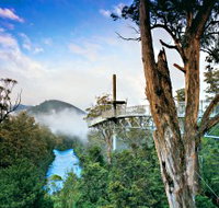 Tahune Adventures Tasmania - Tourism Caloundra