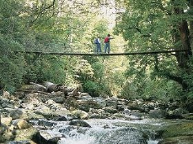 Arve Forest Drive - Tourism Caloundra 0