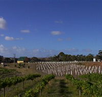 Deep Creek Wines and Alpacas - Tourism Caloundra