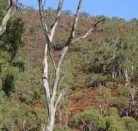 Black Hill Conservation Park - Tourism Caloundra