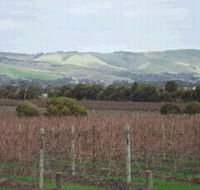Mclaren Vale Premium Wines - Tourism Caloundra