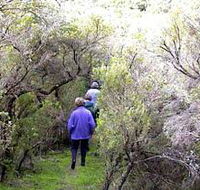 Jack And Hilda McArthur Walk - Tourism Caloundra