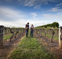 Coonawarra Wineries Walking Trail - Tourism Caloundra