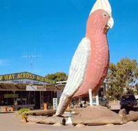 The Big Galah - Tourism Caloundra