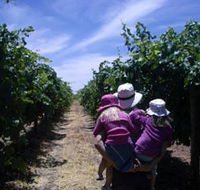 McLaren Vale Orchards - Tourism Caloundra