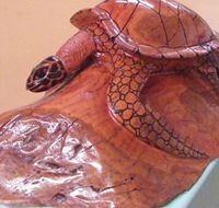 Ants Redgum Gallery - Tourism Caloundra