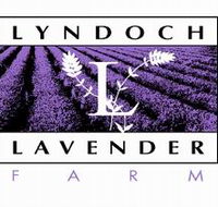Lyndoch Lavender Farm and Cafe - Tourism Caloundra