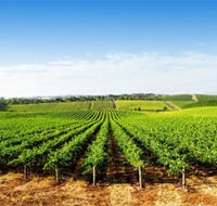 Aldinga Bay Winery - Tourism Caloundra