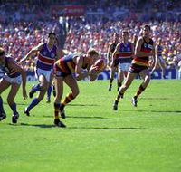 AAMI Stadium Tours - Tourism Caloundra