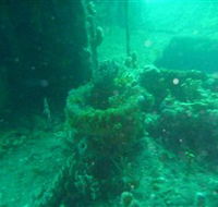 Wallaroo Scuba Club - Tourism Caloundra