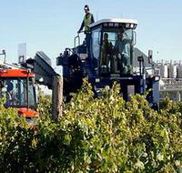 Ballast Stone Estate Wines Pty Ltd - Tourism Caloundra