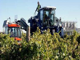 Ballast Stone Estate Wines Pty Ltd - Tourism Caloundra 0
