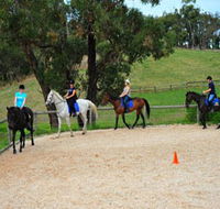 Megan Jones Riding School and Trail Rides - Tourism Caloundra