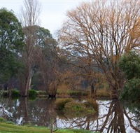Gemtree Wetlands Ecotrail - Tourism Caloundra