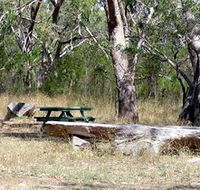 Penola Conservation Park - Tourism Caloundra