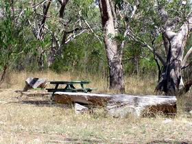 Penola Conservation Park - Tourism Caloundra 0