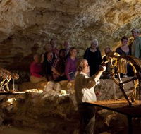 Naracoorte Caves National Park - Tourism Caloundra
