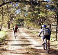 Bike About Mountain Bike Tours And Hire - Tourism Caloundra