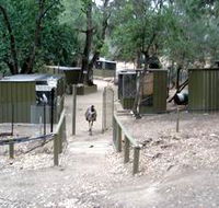 Humbug Scrub Wildlife Sanctuary - Tourism Caloundra