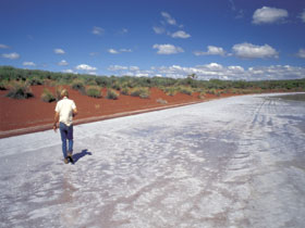 Lake Gairdner National Park - Tourism Caloundra 0