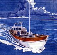 Southern Fleurieu Fish - Tourism Caloundra