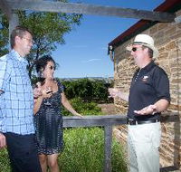 Shingleback Wine Cellar Door - Tourism Caloundra