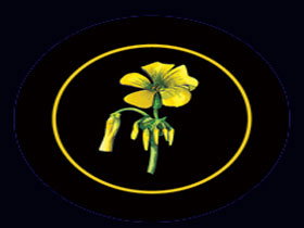 Battle Of Bosworth Wines - Tourism Caloundra 0