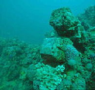 Adelaide's Underwater Heritage Trail - Tourism Caloundra